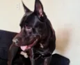 zeus jose armando mendoza 