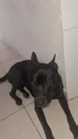 zeus jose armando mendoza 