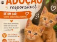 SOLAR E NINA