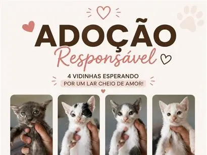 Gato raça SRD-ViraLata idade Abaixo de 2 meses nome Gatinhos filhotes