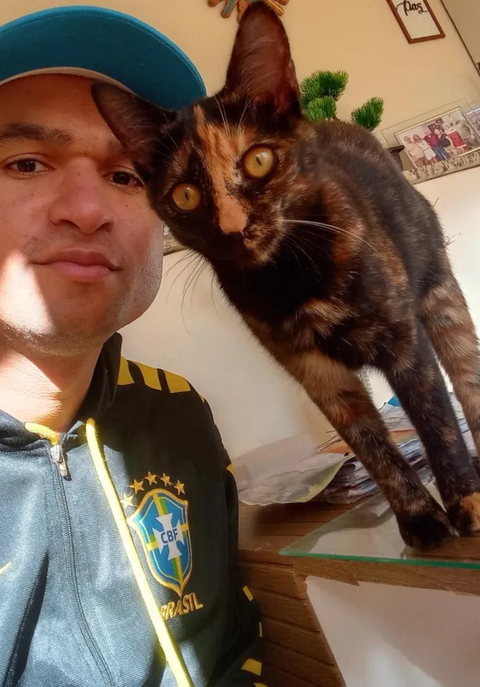 Gato raça SRD-ViraLata idade 2 a 6 meses nome MÁSCARA 