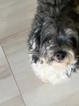 Benjamim