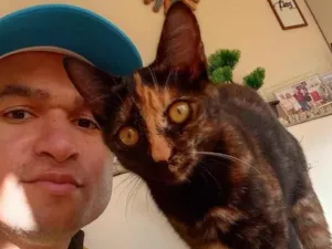 Gato raça SRD-ViraLata idade 2 a 6 meses nome MÁSCARA 