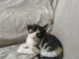 Zuri