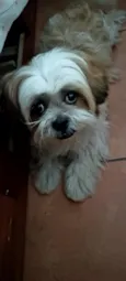 não sei