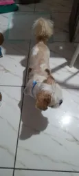 não sei