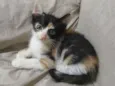 Zuri