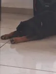 Thor