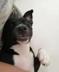 Lua