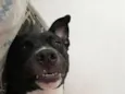 Lua