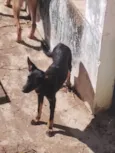 Tati, mudada, sem nome