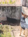 Tati, mudada, sem nome