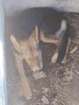 Tati, mudada, sem nome