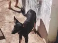 Tati, mudada, sem nome