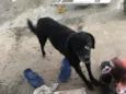 Não sabemos o nome
