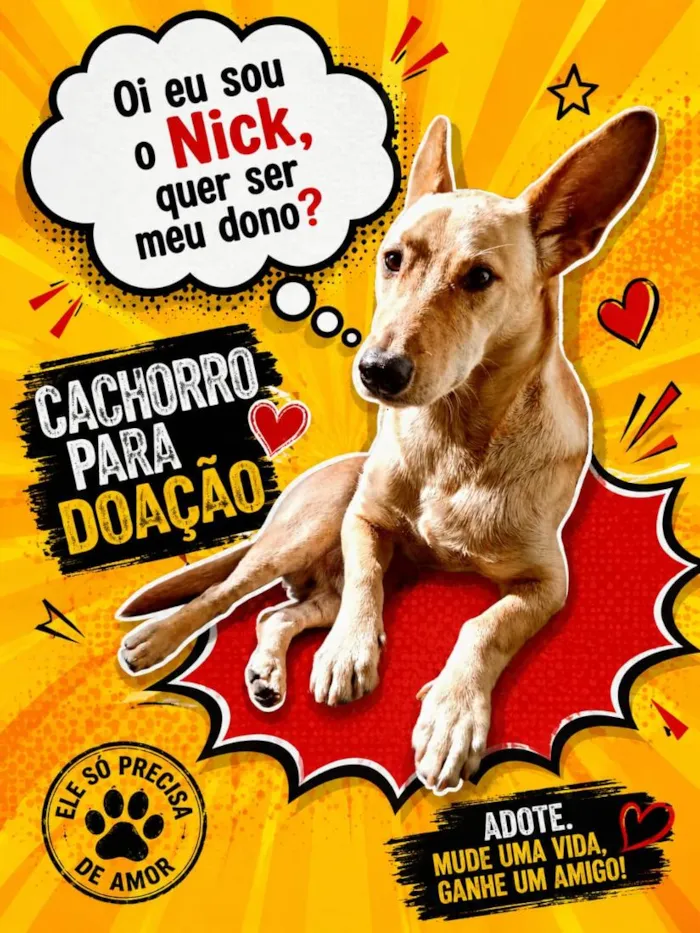 Cachorro raça SRD-ViraLata idade 2 a 6 meses nome Nick