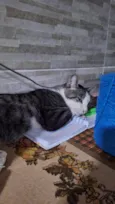 Bartolomeu