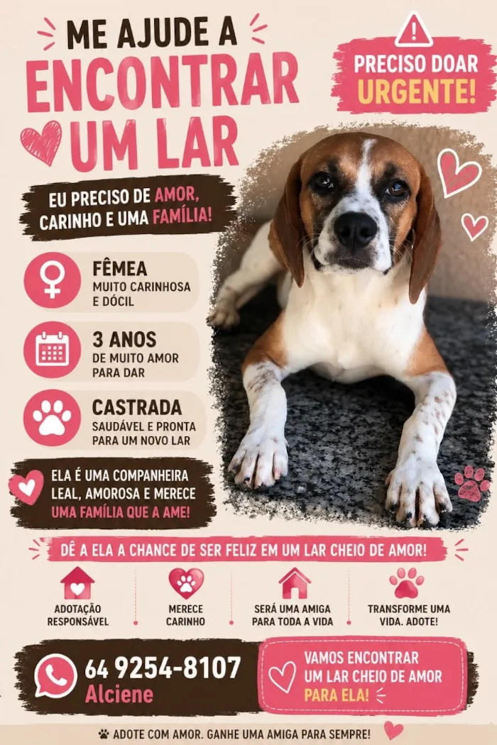 Cachorro raça SRD-ViraLata idade 3 anos nome Dori
