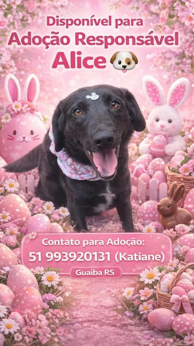 Cachorro raça SRD-ViraLata idade 3 anos nome Alice