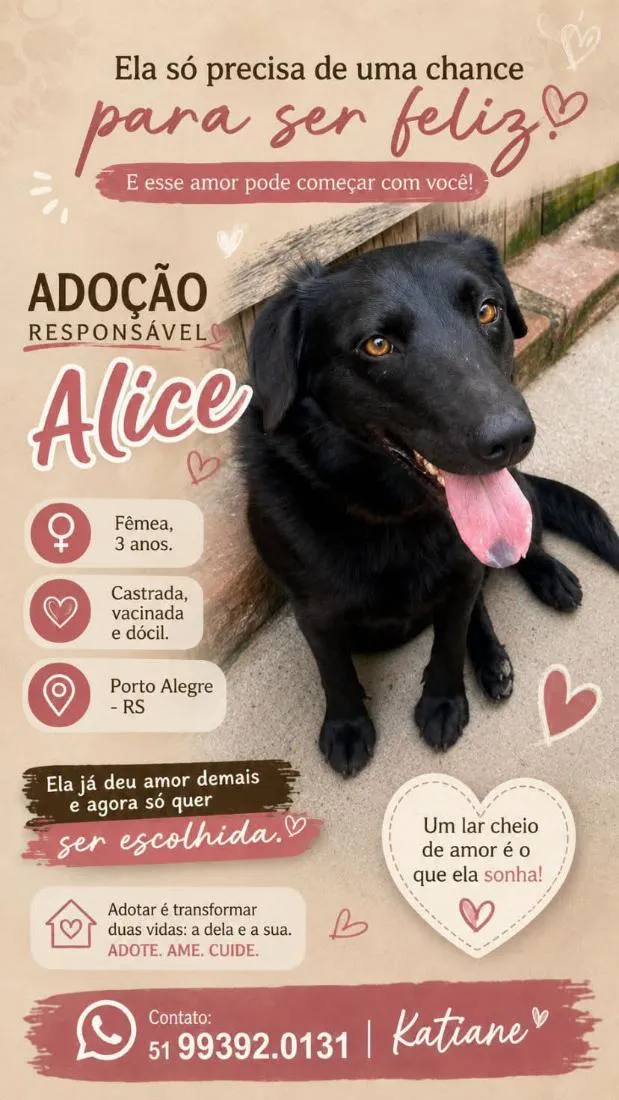Cachorro raça SRD-ViraLata idade 3 anos nome Alice