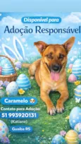 Caramelo Lindo 