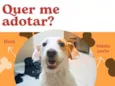 Atena