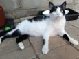 Jade Mingau e Doritos