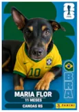 Maria Flor