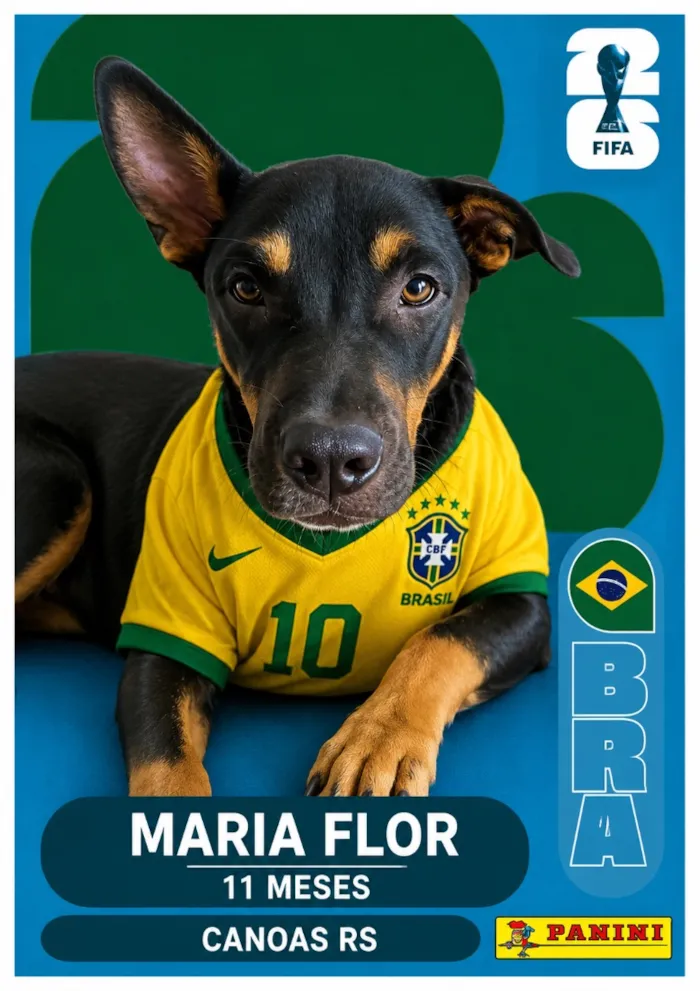 Cachorro raça SRD-ViraLata idade 1 ano nome Maria Flor