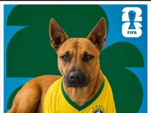Cachorro raça SRD-ViraLata idade 1 ano nome Nala