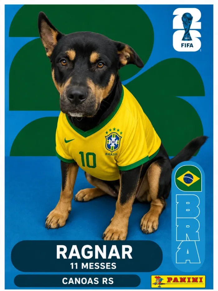 Cachorro raça SRD-ViraLata idade 1 ano nome Ragnar