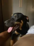 Ragnar