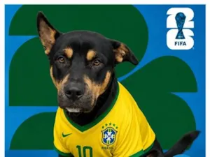 Cachorro raça SRD-ViraLata idade 1 ano nome Ragnar