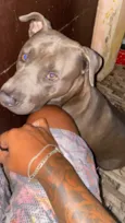Zeus