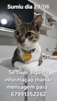 George