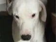 hades