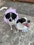 Mia e Pocaria