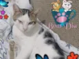 Frederico 