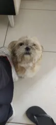 Nina