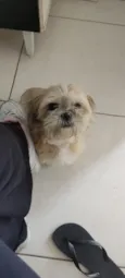 Nina