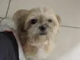 Nina