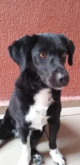 Neguinha