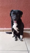 Neguinha