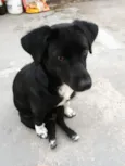 Neguinha