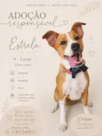 Estrela