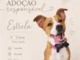 Estrela