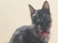 Katty