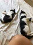 Lua e Estrela 