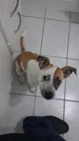 Malia