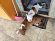 Luna & Lara